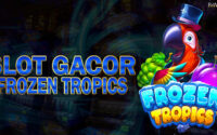 Slot Gacor Frozen Tropics Djarum4d